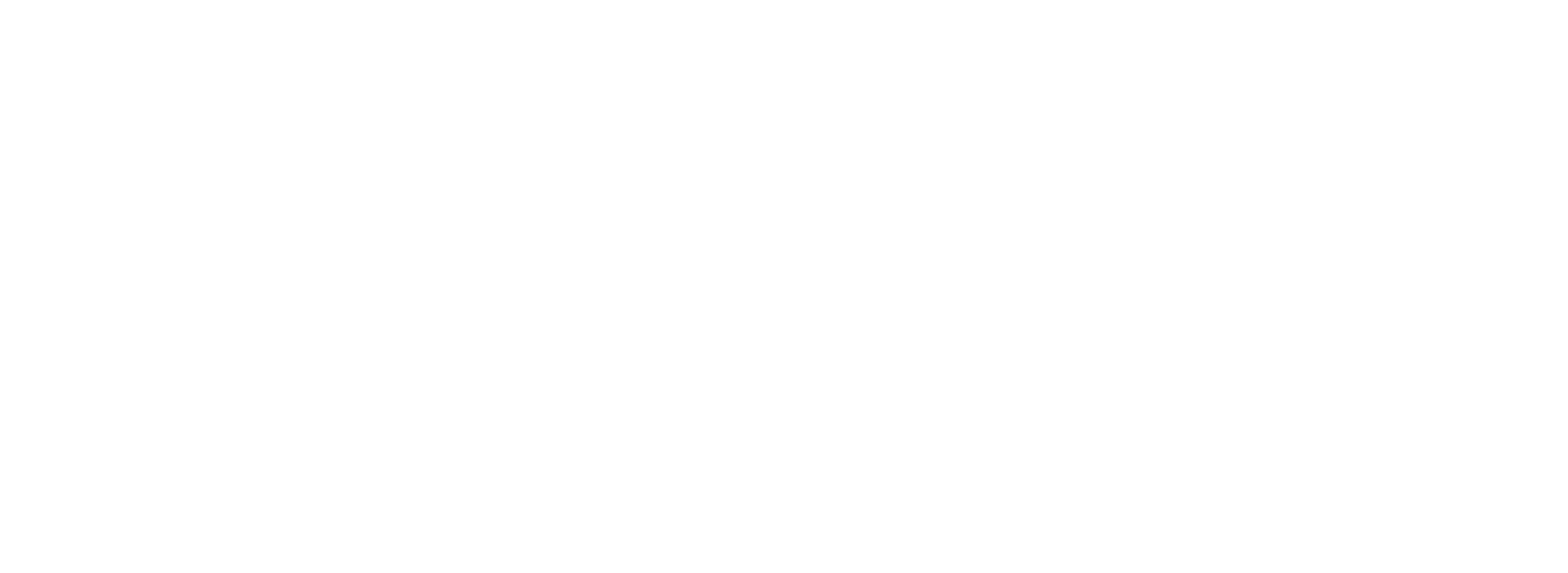 Cybershoke