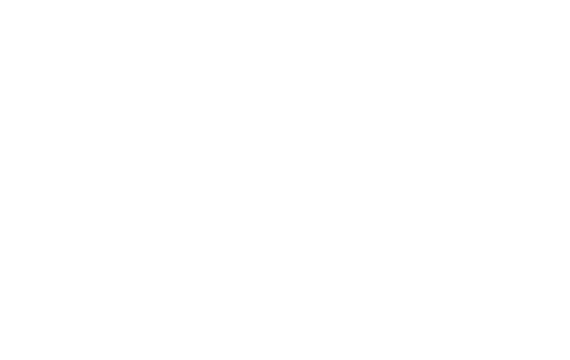 Team Secret